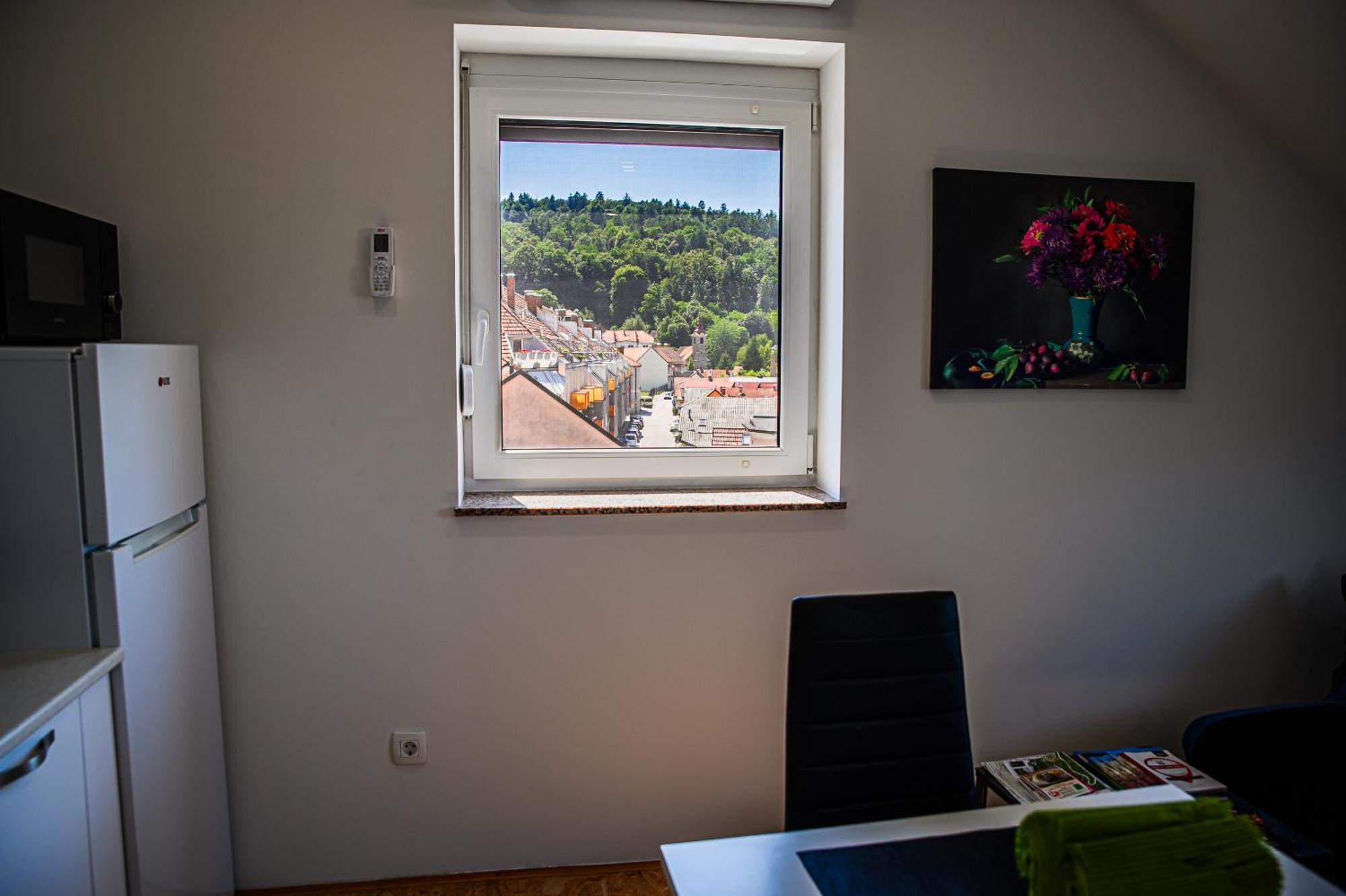 Apartment A1 Ljubljana Cameră foto